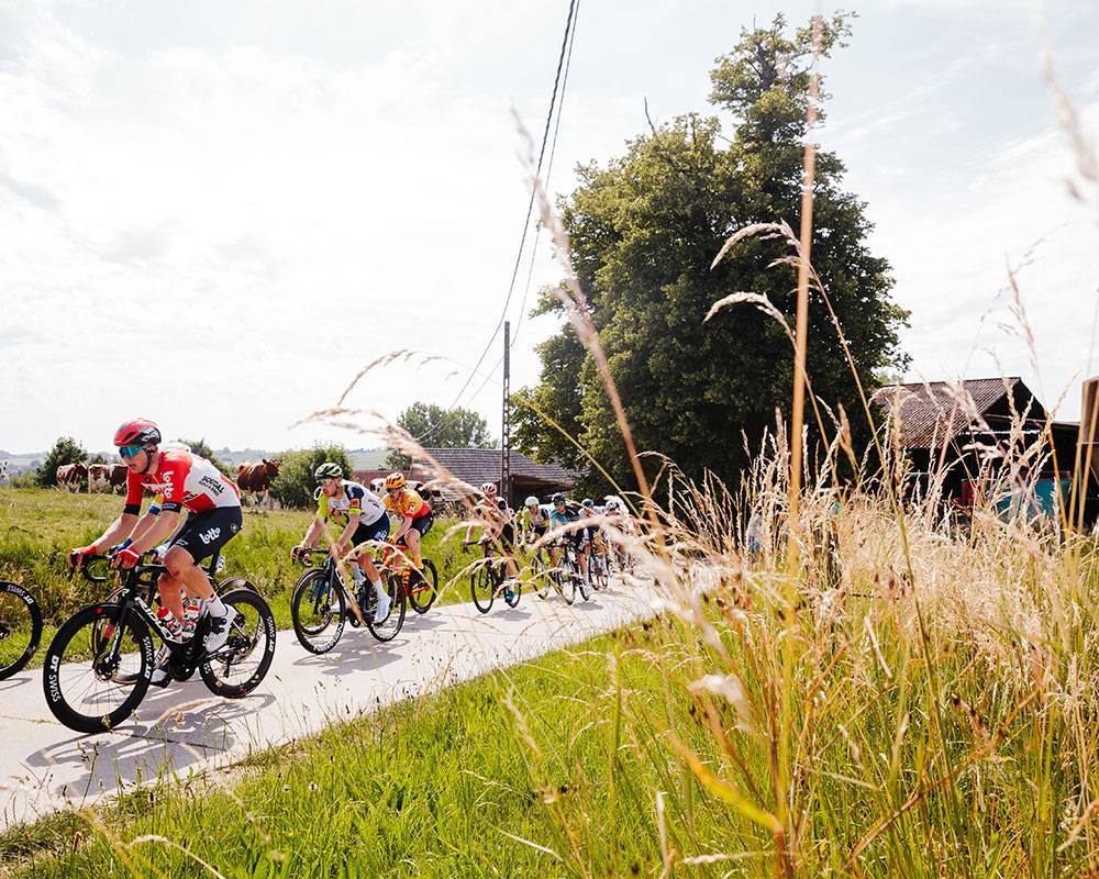 VIP KnokkeHeist Baloise Belgium Tour