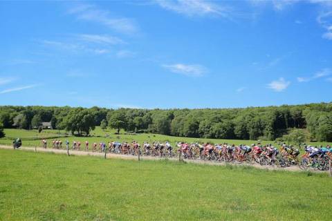 ANS, BELGIUM - MAY 27: Baloise Belgium Tour stage 4: Ans-Ans at Ans on may 27, 2017 in Ans, Belgium, 27/05/2017. (Photo by Tomas Sisk / Golazo Sports)