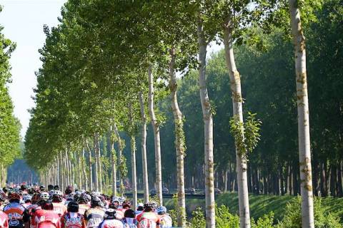 LOCHRISTI-KNOKKE, BELGIUM - MAY 23: Baloise Belgium Tour stage 1: Lochistri - Knokke at Lochristi - Knokke on may 23, 2017 in Lochistri - Knokke, Belgium, 23/05/2017. (Photo by Tomas Sisk / Golazo Sports)