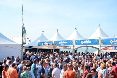 LOCHRISTI-KNOKKE, BELGIUM - MAY 23: Baloise Belgium Tour stage 1: Lochistri - Knokke at Lochristi - Knokke on may 23, 2017 in Lochistri - Knokke, Belgium, 23/05/2017. (Photo by Tomas Sisk / Golazo Sports)