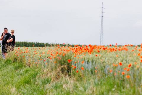 20220619-BaloiseBelgiumTour-1600x900-MatsPalinckx-26
