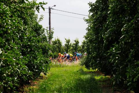 20220619-BaloiseBelgiumTour-1600x900-MatsPalinckx-32