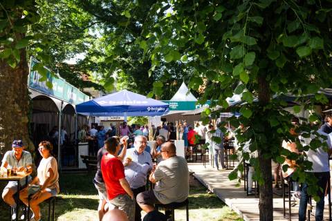 20230614-BaloiseBelgiumTour-1600x900-MatsPalinckx-112