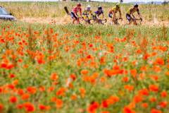 20230617-BaloiseBelgiumTour-1600x900-MatsPalinckx-50