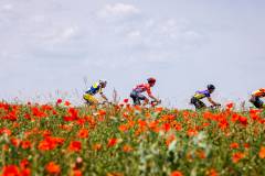 20230617-BaloiseBelgiumTour-1600x900-MatsPalinckx-52