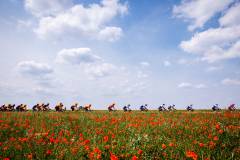 20230617-BaloiseBelgiumTour-1600x900-MatsPalinckx-54