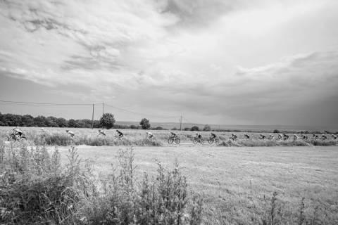 DP2_4447